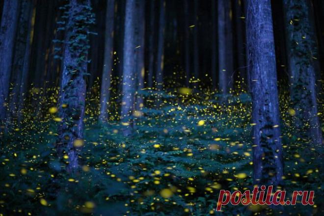 23 самых душевных фотографии, присланных на конкурс National Geographic 2015