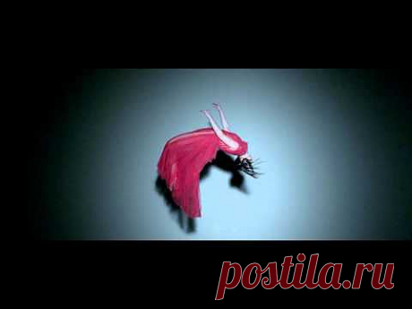 ▶ BEL SUONO &amp; DJ Magic Finger - Te Quiero - YouTube