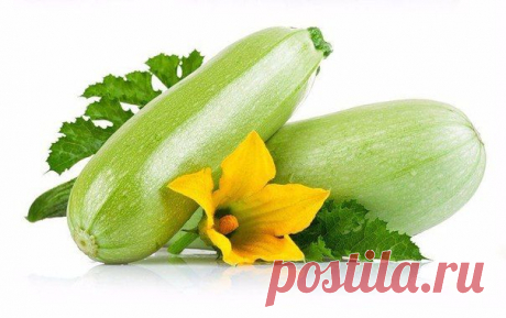 ПОЛЬЗА КАБАЧКА