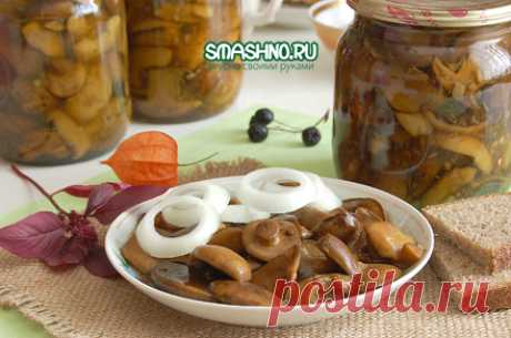 Как замариновать грибы на зиму. Вкусные маринованные грибы.
