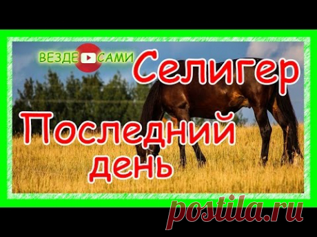 Селигер. Последний день. Отъезд