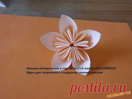 Фотографии на стене сообщества | 32 872 фотографии