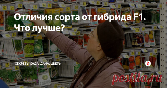 Отличия сорта от гибрида F1. Что лучше? Правда ли, что гибриды вредны? Написала короткую заметку, в которой всё просто и кратко описано.