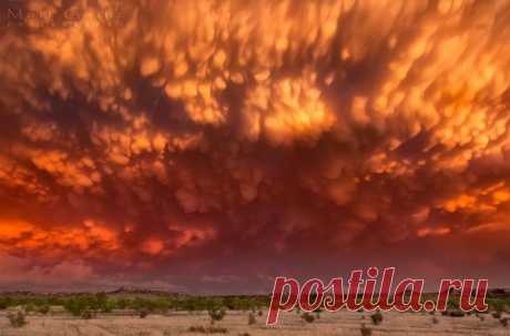 Грозы, молнии, туманы… Фотограф Мэтт Гранц (Matt Granz) — Фотоискусство