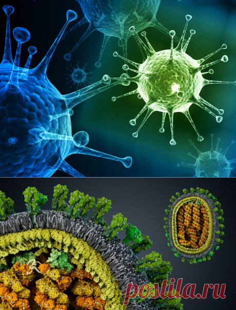 Почему грипп непобедим