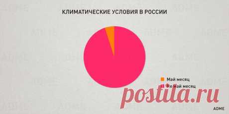 23 чертовски простые диаграммы о нашей жизни