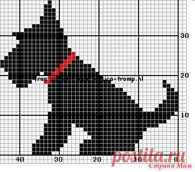 Собаки для 2018 Нарыла кучу картинок с собаками в Pinterest. Делюсь: