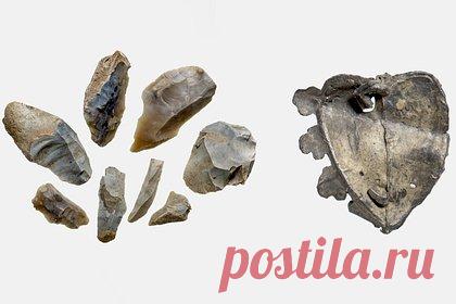 Под зданием британского парламента нашли 6000-летние артефакты