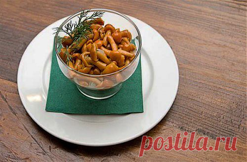 Опята: самые вкусные рецепты консервирования / Простые рецепты