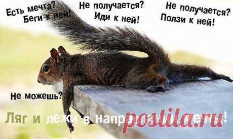 Мечта