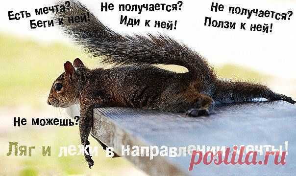Мечта