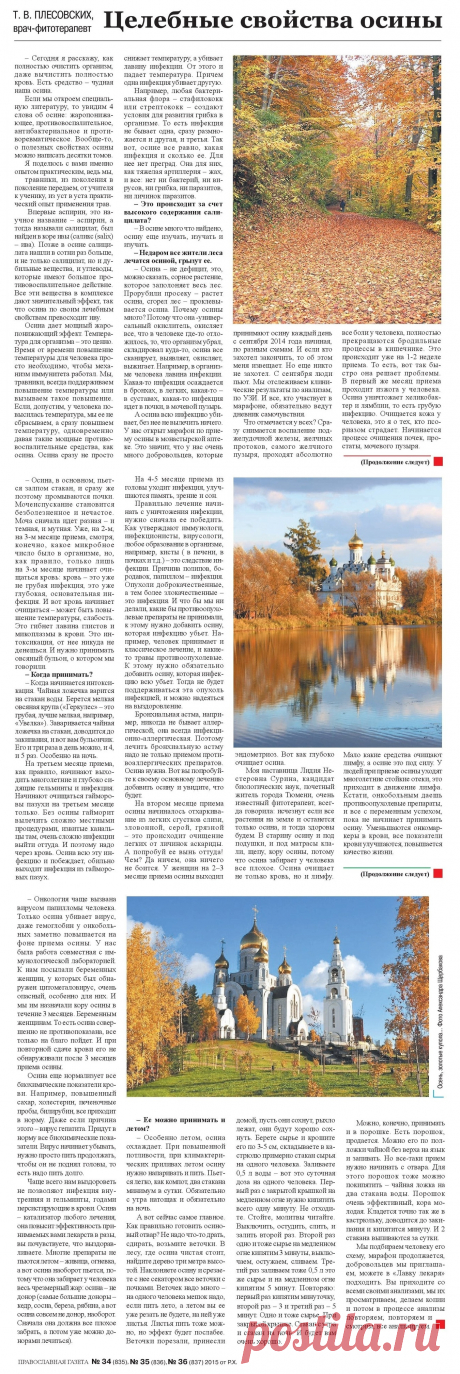 Целебные свойства осины (как полностью очистить организм)