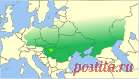 ГУННЫ И ДРЕВНИЙ РИМ.