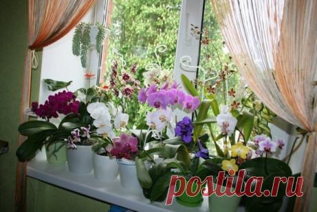 Школа ремонта. [ ДАЧА ]