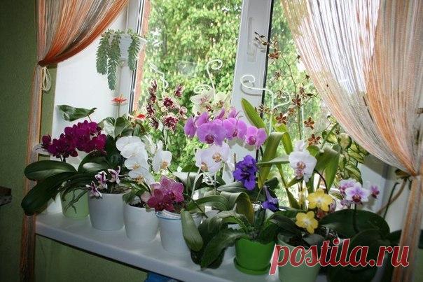 Школа ремонта. [ ДАЧА ]