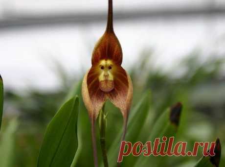 Срочно требуется управляющий и менеджеры в международный интернет-магазин. Деятельность онлайн. Доход 10% с оборота официально через банк. В комментариях ставьте плюсики +