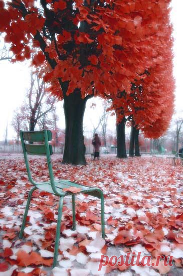 ⊱⚜my parisian life⚜⊰ — Autumn in Paris