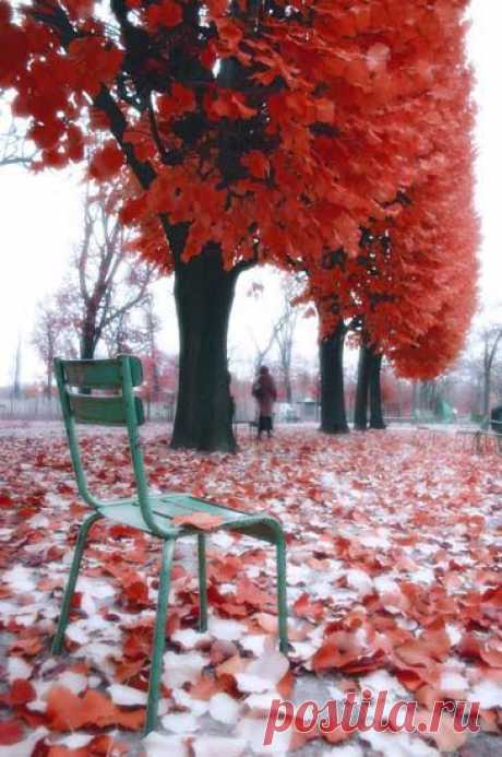 ⊱⚜my parisian life⚜⊰ — Autumn in Paris