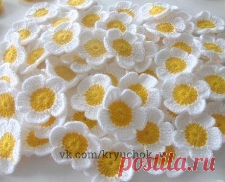 Красивые ромашки