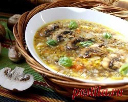 Суп с грибами и гречкой