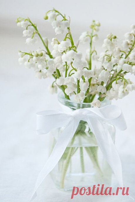 Доброе утро