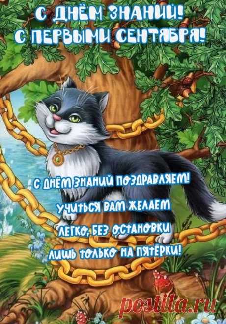 С Днем знаний тебя поздравляю,
Тебе в этот день я всех благ пожелаю,
Чтобы всегда было все хорошо,
И чтоб в учебе тебе повезло!