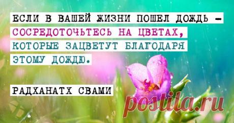 7 бесценных советов для жизни