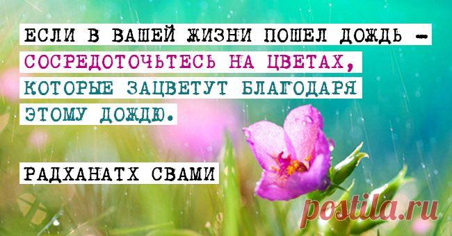 7 бесценных советов для жизни