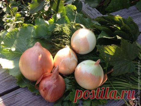 Как хранить овощи в квартире | Интересные рецепты