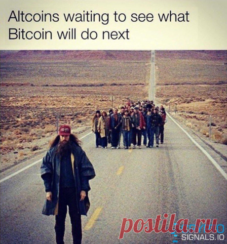 Минутка юмора от Crypto Signals

https://cryptosignals.io/