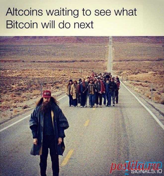 Минутка юмора от Crypto Signals

https://cryptosignals.io/