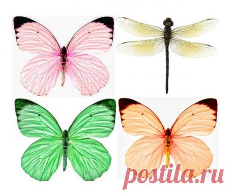 Картинки для творчества | 1 772 фотографии | ВКонтакте