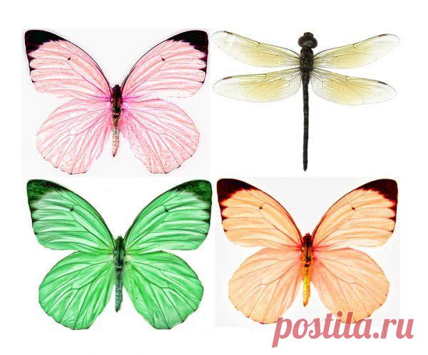 Картинки для творчества | 1 772 фотографии | ВКонтакте