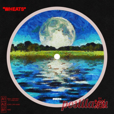 Wheats, Luna Ash – SOUL CONTROL! EP [BR014]