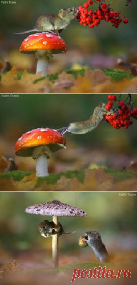 (10) Facebook