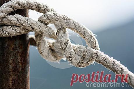 Stock Photos, Royalty-Free Images & Video Footage By Dreamstime Stock Photography