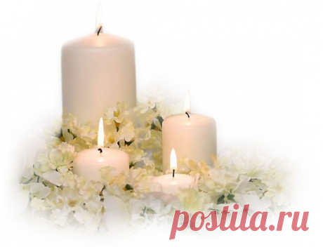 Плейкаст «ПОЗДРАВЛЯЮ С НОВЫМ ГОДОМ! ОБЕЗЬЯНКА ЖЕЛАЕТ ВСЕМ ХОРОШЕГО ГОДА! УРА!!!»