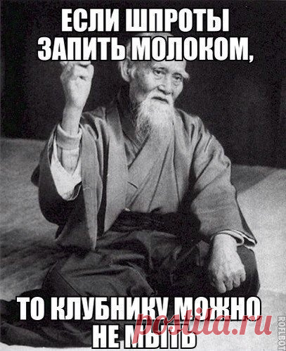 Прикольные фотомемы для хорошего настроения (27 шт)