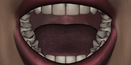 ЗУБЫ