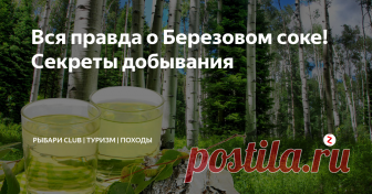Вся правда о Березовом соке! Секреты добывания Все любители природы не по наслышке знают о Березовом соке, сегодня мы рассмотрим методы его добычи, а также поговорим о его пользе и вреде!