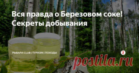 Вся правда о Березовом соке! Секреты добывания Все любители природы не по наслышке знают о Березовом соке, сегодня мы рассмотрим методы его добычи, а также поговорим о его пользе и вреде!