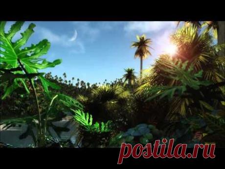 Hot jungle day - the relaxing sound of the jungle - YouTube