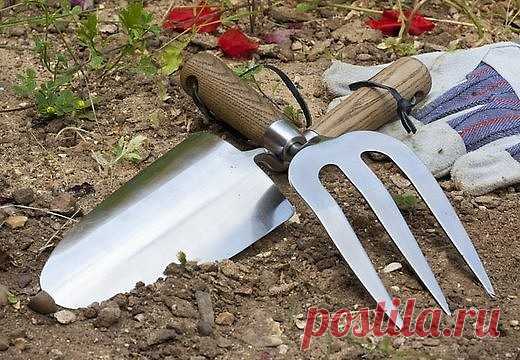 (99) Одноклассники