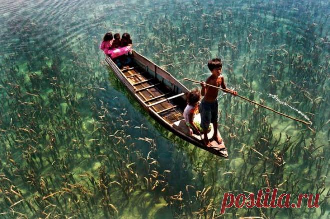 20 обалденных фотографий, в которые трудно поверить