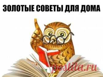 ЗОЛОТЫЕ СОВЕТЫ ДЛЯ ДОМА.
- Аспирин: разведите 2 таблетки в 100 мл горячей воды и смочите на 3 часа этим раствором следы дезодоранта на одежде. Они исчезнут.
- Хлеб: ломтик белого хлеба удалит сальные отпечатки пальцев со стены и с не моющихся обоев.
- Зубная нить: поможет накрепко пришить кнопки и пуговицы, а также отремонтировать зонты и рюкзаки.
- Цветные карандаши: раскрошенный грифель поможет замаскировать повреждения деревянного пола и мебели.
- Морозилка: если помест...