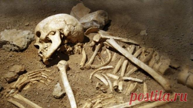 В Бразилии обнаружили скелеты людей, живших почти 6 тыс. лет назад | История