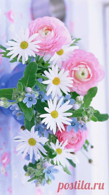 Sourima Ghosh - Google+