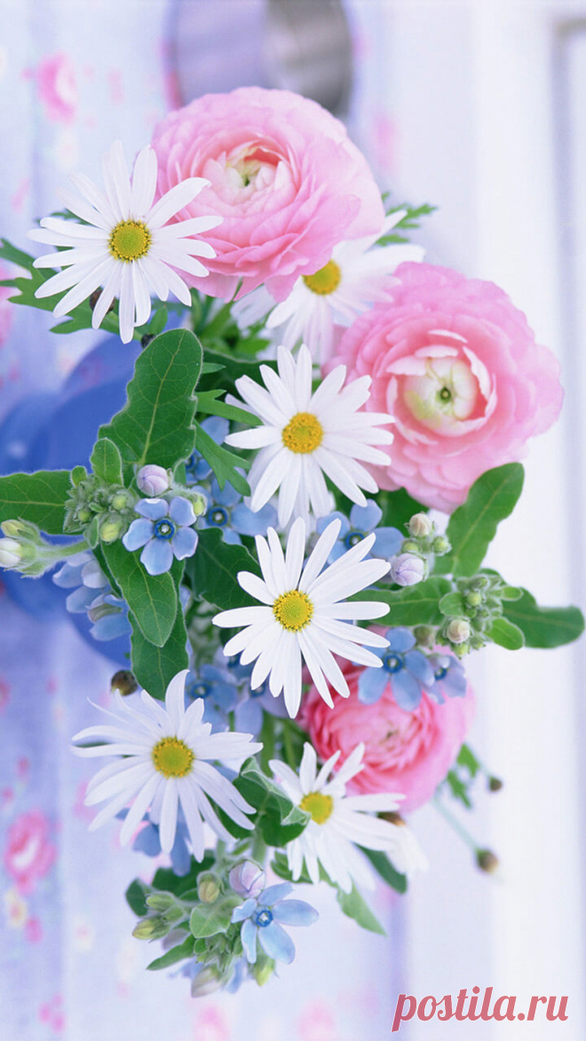 Sourima Ghosh - Google+