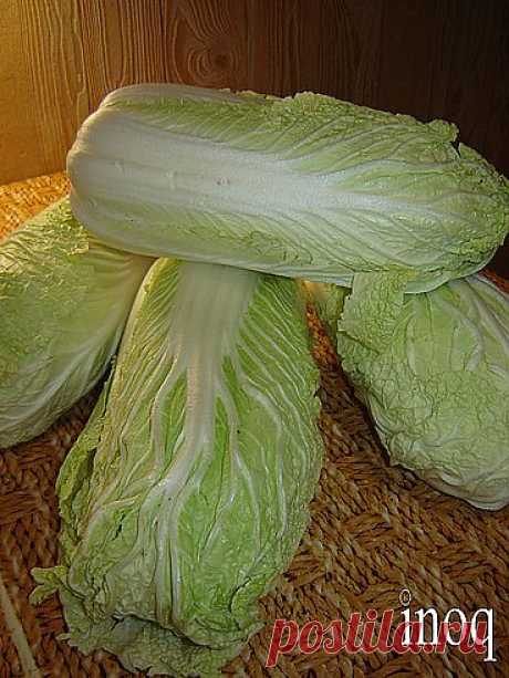 Чимчи или Кимчхи - острая капуста по-корейски - Корейская кухня - Каталог рецептов - Готовить - это просто. Когда знаешь как.