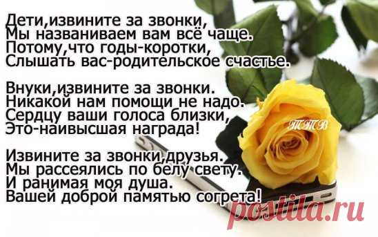 Звоните чаще, пока вам рады, пишите сообщения, пока их ждут...